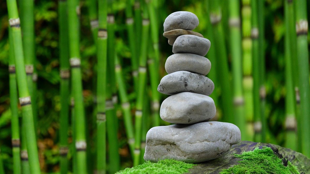 Zen a umění investovat. Japonští mniši kupují zelené dluhopisy